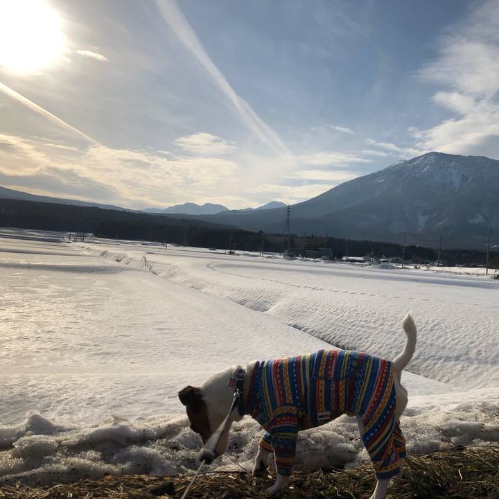 C866c6da e57e 4abe bfa2 90c3abec4488 1633494686108