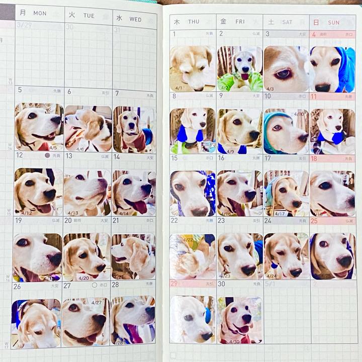 C8673936 f584 437e accb 23fc425843c1 1621175248376