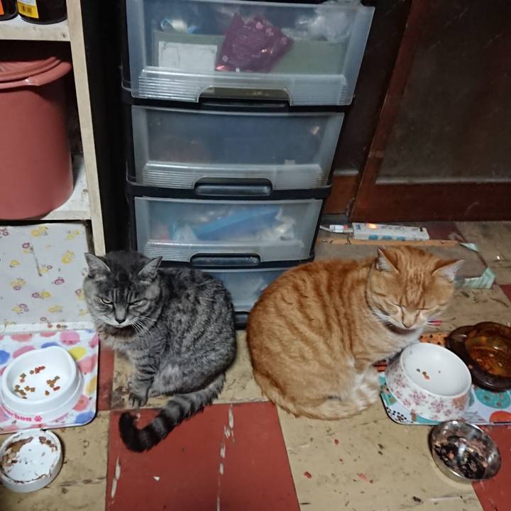 C86753ef 30f6 49ac 8df3 a25a8b2f7a19 1574454391417