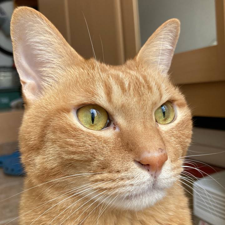 C867577d 817a 4cea 9891 843f0f21f945 1765589760995