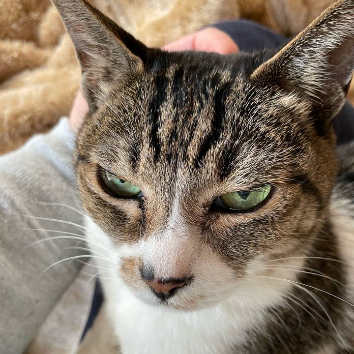 C8675b2a df30 4c8a a1c7 192dd87330fe 1644630634570