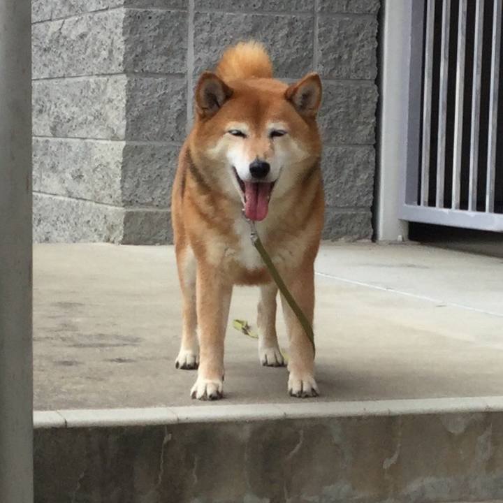 C8679fff 1923 4a98 b0fc 3d3caf60fc50 1590141365448