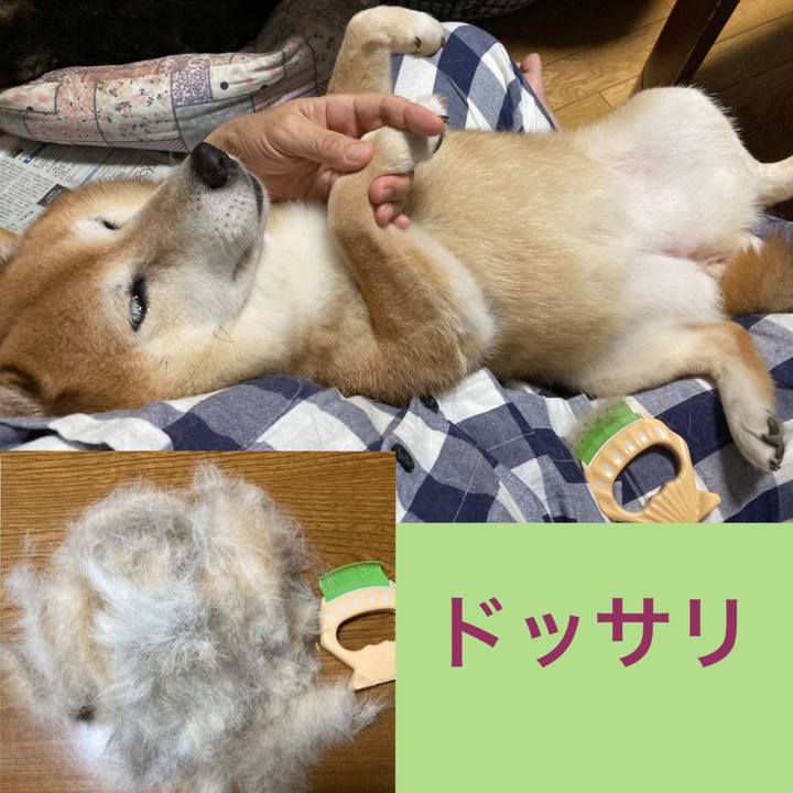 C867a35b 2906 474c 9492 408125b2abce 1660134573939