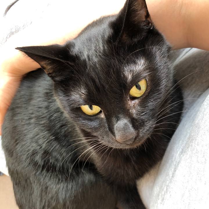 C867c0fc b2dc 4d3e b4cd 8c2ccb2709dc 1679208199194