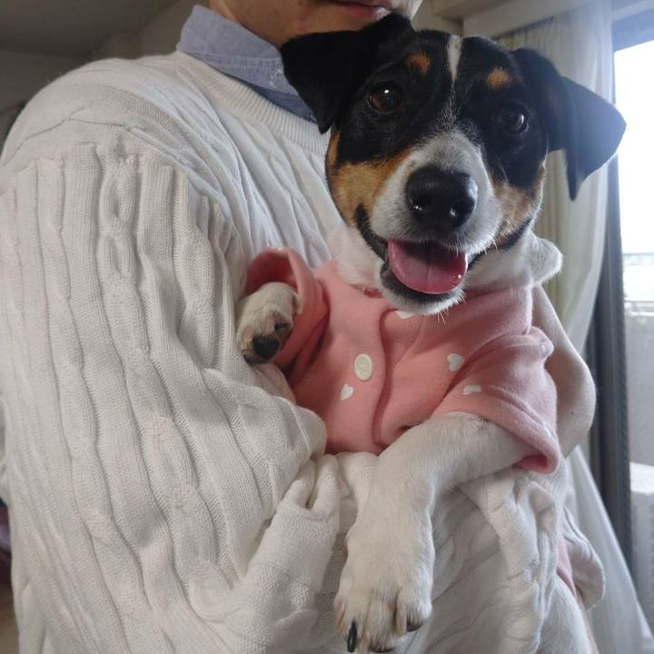 C8683607 0435 4632 b8c5 0178a39beed6 1583718738543