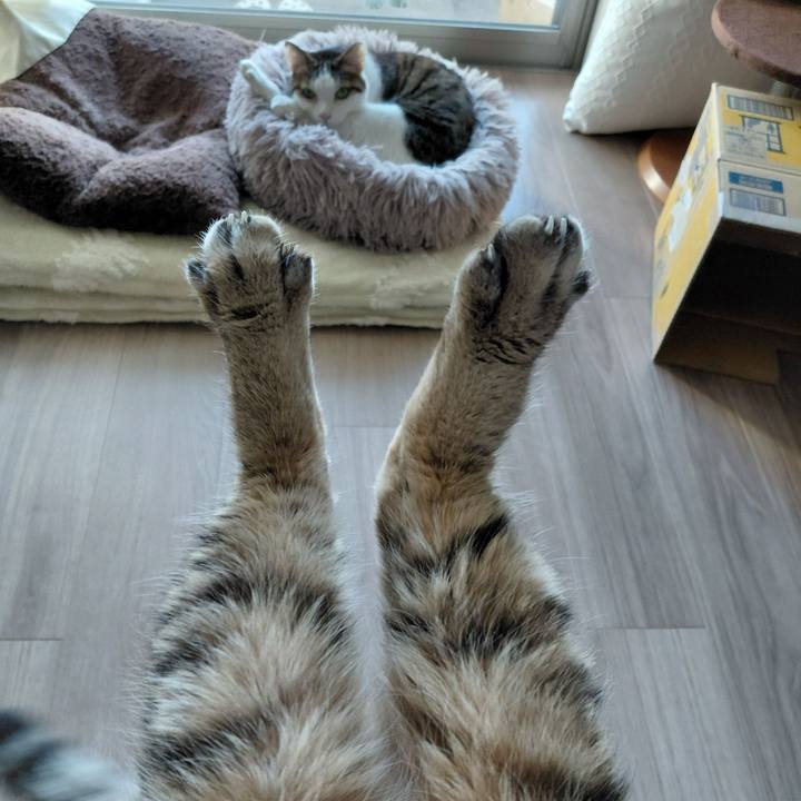 C8684fb8 3cfe 41a2 9493 29c64d42a555 1773298669958