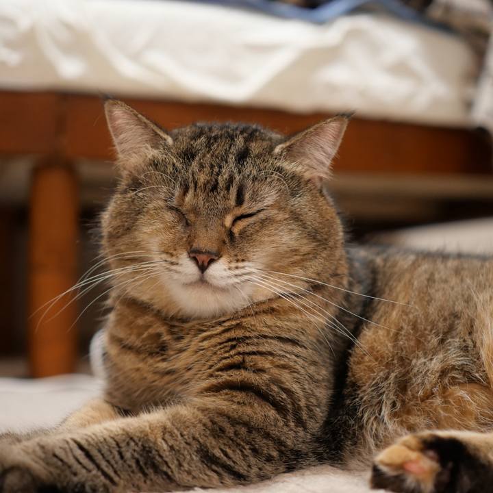 C8685a13 a98a 4707 a18c 47a680f0a92b 1755340887218