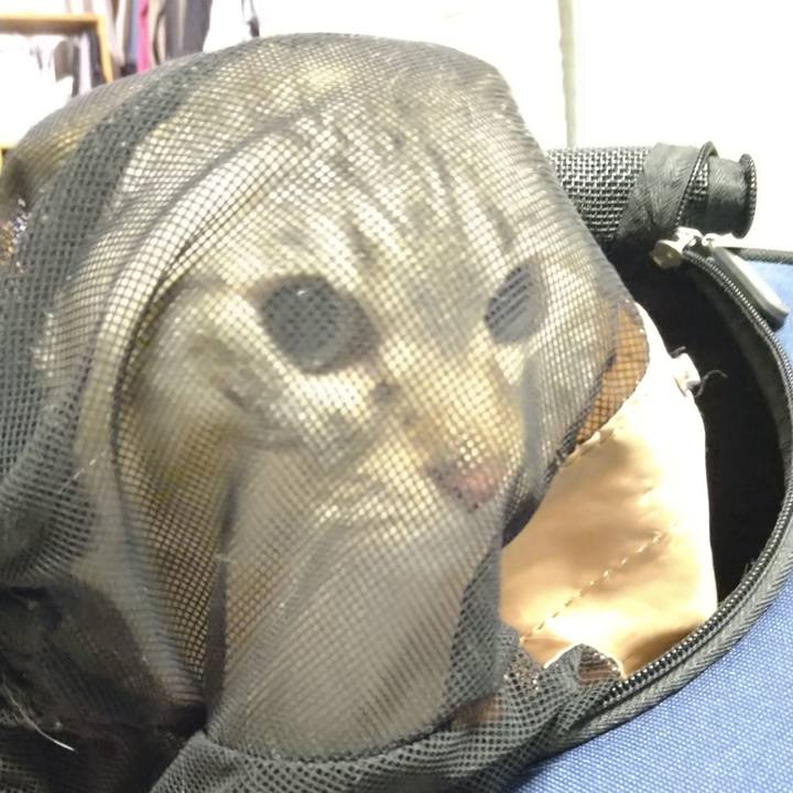 C868b9c0 665b 49fe a2f6 913b38c8bc8a 1686739328489