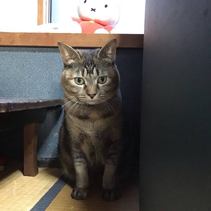 C868ba2d dd3a 4f71 ab9f 691884b43c5e 1703836953868