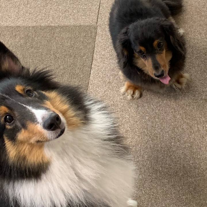 C868c5b1 51c8 4e96 8b98 a47d032907cf 1568324246706