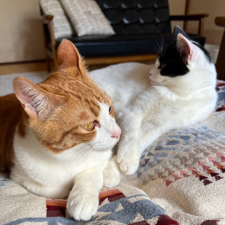 C868d5ad 751a 4e8e b777 0c824c7ee89c 1771984170035