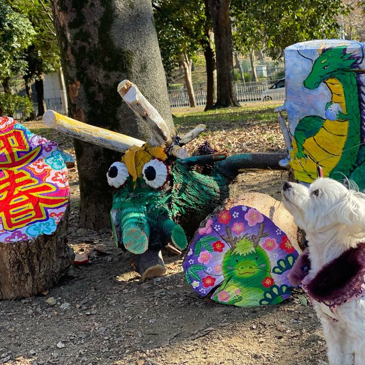 C868e233 400e 4af7 afcf ba7dfa4aeae3 1704863537991