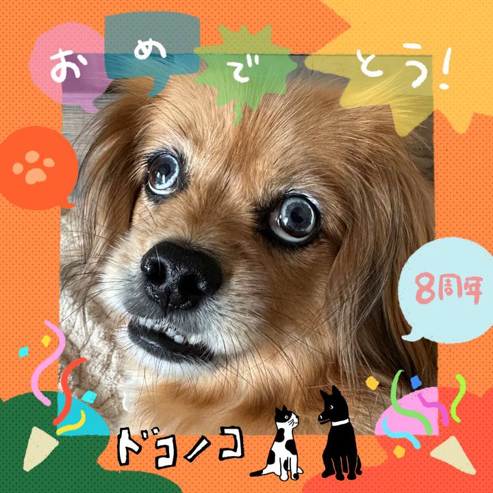 C868e48a 0a6b 4d90 ba58 b906da6c2670 1717893224556