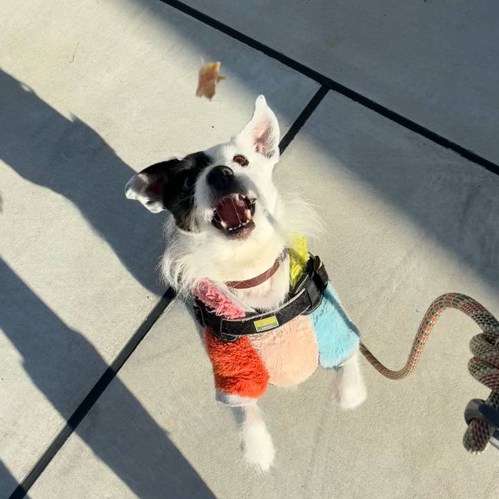 C868ffb2 7b93 4e71 b8fe 9f7ec57e65ba 1772667227282