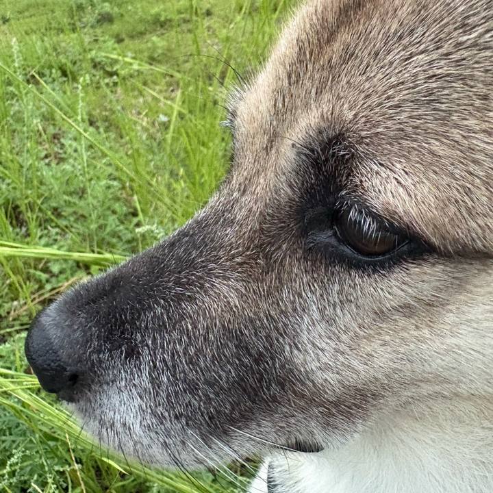 C8690d81 ba85 499f 932d 7c7a62fde53a 1758200625005