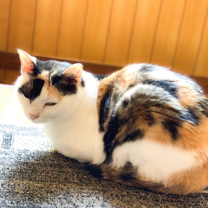 C8692252 095b 4fc1 8fbf 708a64261ea6 1566957517771