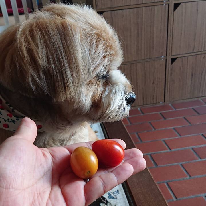 C8692472 a0c4 4e83 aeef 08018ff21c03 1592208196463