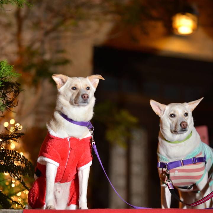 C8692f64 7dbb 4ad1 9c42 e3ee7f1d6890 1514167230503