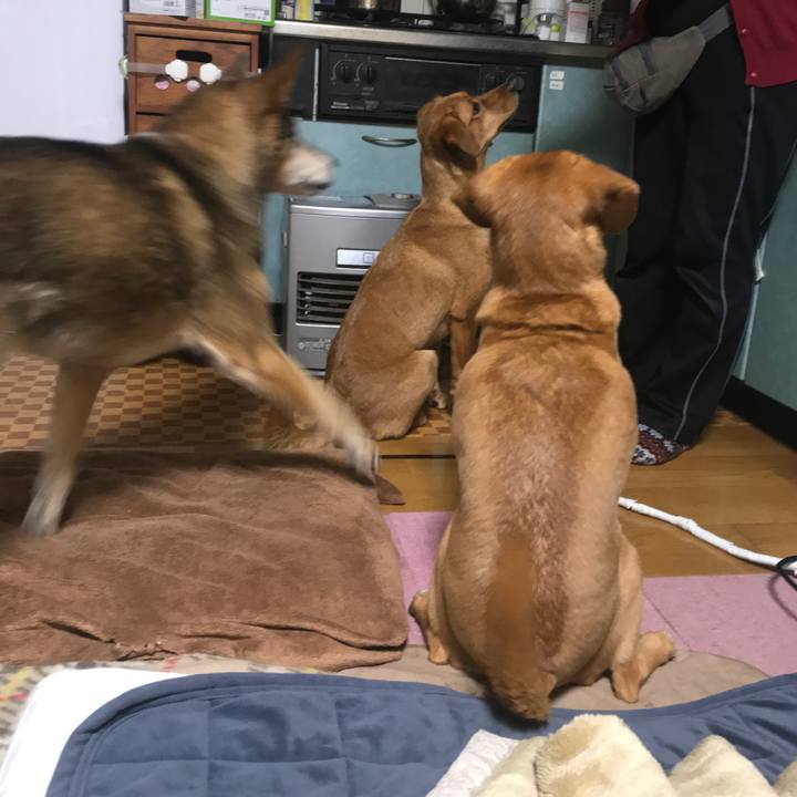 C86937eb bf30 4011 978e 70e373aed1db 1552720494735