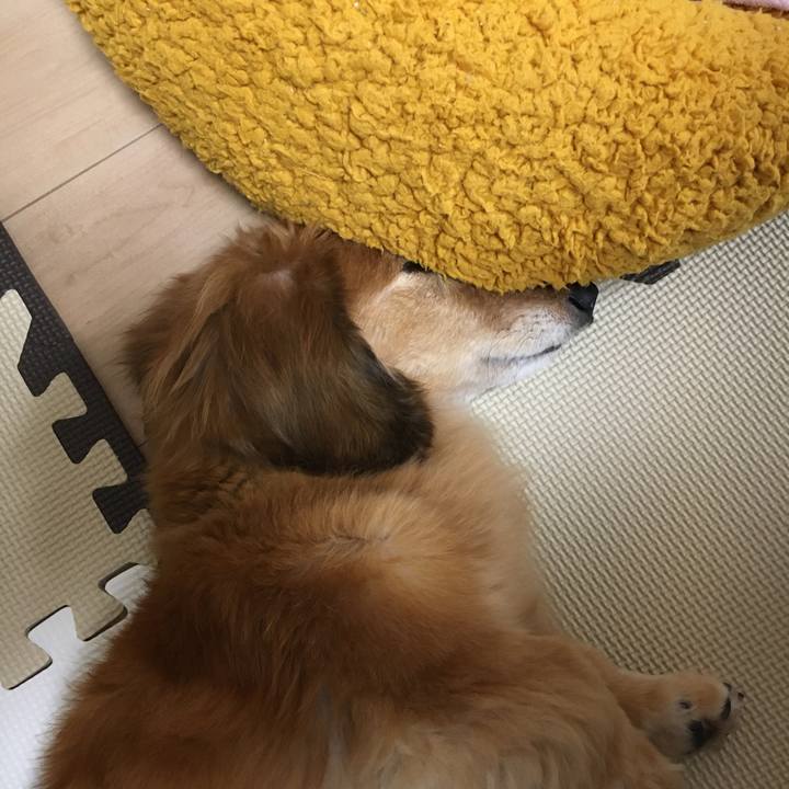 C869d02e 77b6 4430 974b acca34aedd9e 1635254973927