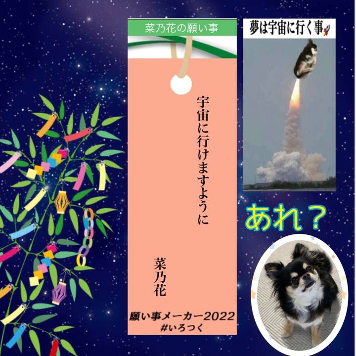 C86a0792 ce18 4a75 876b be7caf2124f2 1657064550256