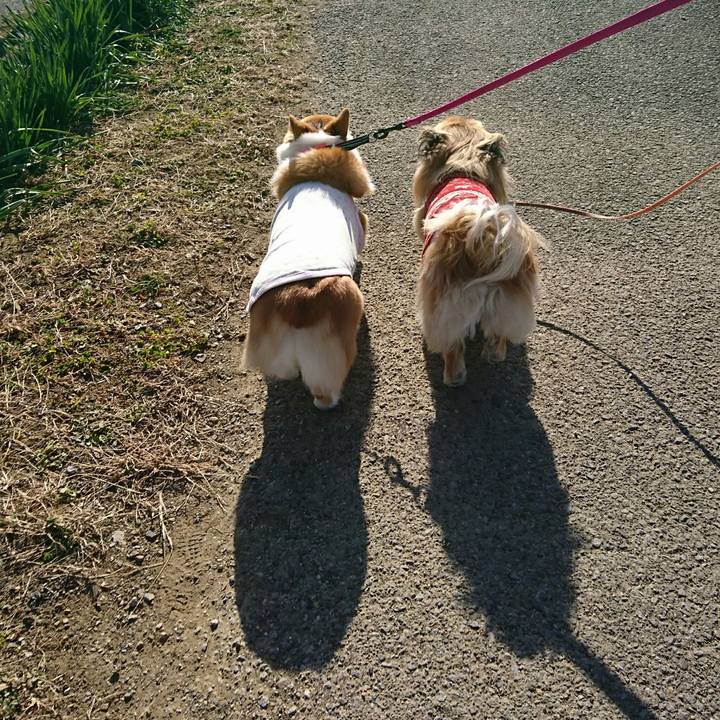 C86a0881 2500 4006 b1ea 399a64526f05 1513341958368