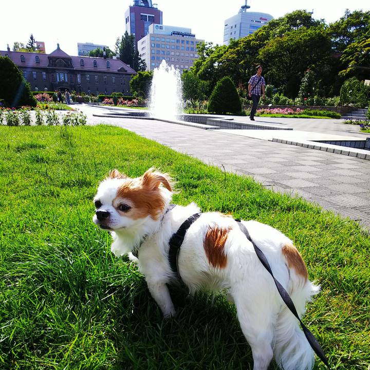 C86a563b 2124 4b40 80e8 6b5528806df7 1531036438224