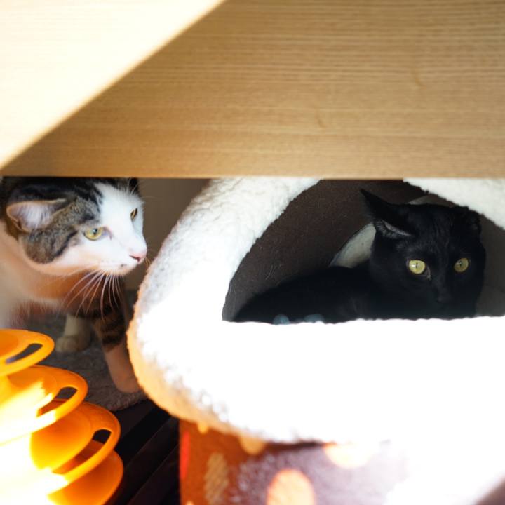 C86a6ac1 5890 44e9 9ea6 201df35d3ca1 1511662643158