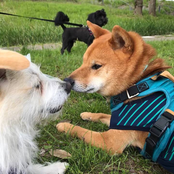 C86ab504 c247 47f4 a8b3 e11fd4a1d214 1593231485474