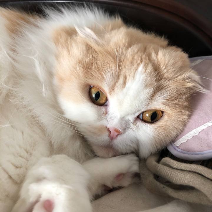 C86ac4e5 370e 4b25 8039 25c35185ecc8 1619734628595