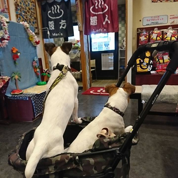 C86acffb e0b5 430c 9875 c64952c2180d 1535612226205