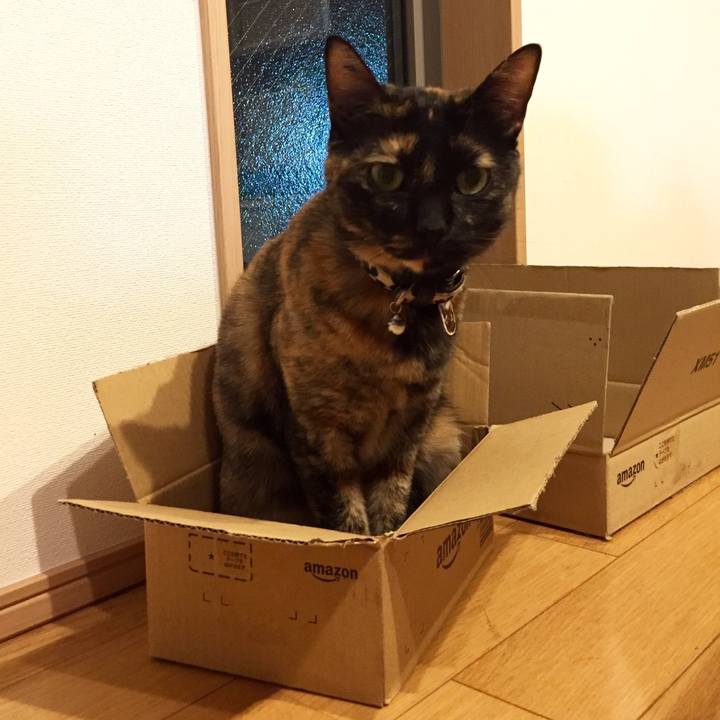 C86af03a 930e 466d b09e 117836116f39 1525363967974