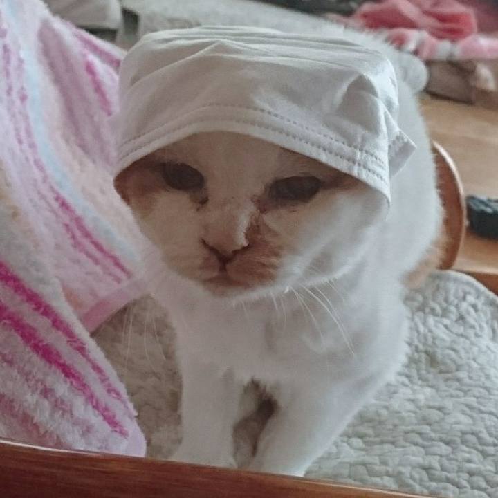 C86b3239 1273 4a6c 8d42 92684a3bc29e 1578213838435