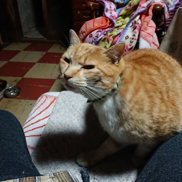 C86b35d3 0bbf 47d9 8ccd 4cc816582b2f 1585166232410