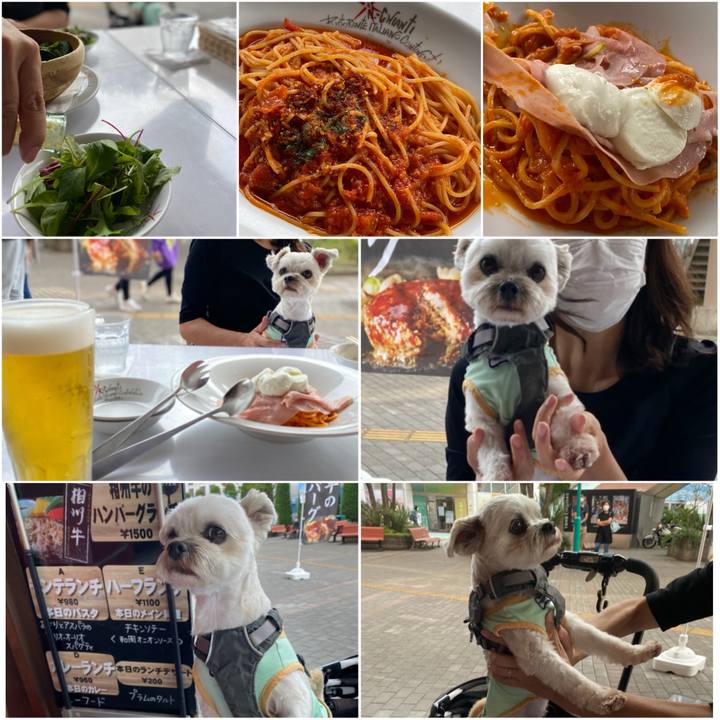 C86b465e 505a 42bf a561 2c74d8c73723 1601803278936