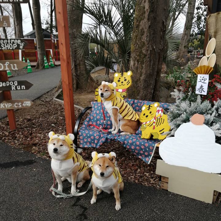 C86b6339 699e 4252 8b52 bb41b3480b8f 1641797534437