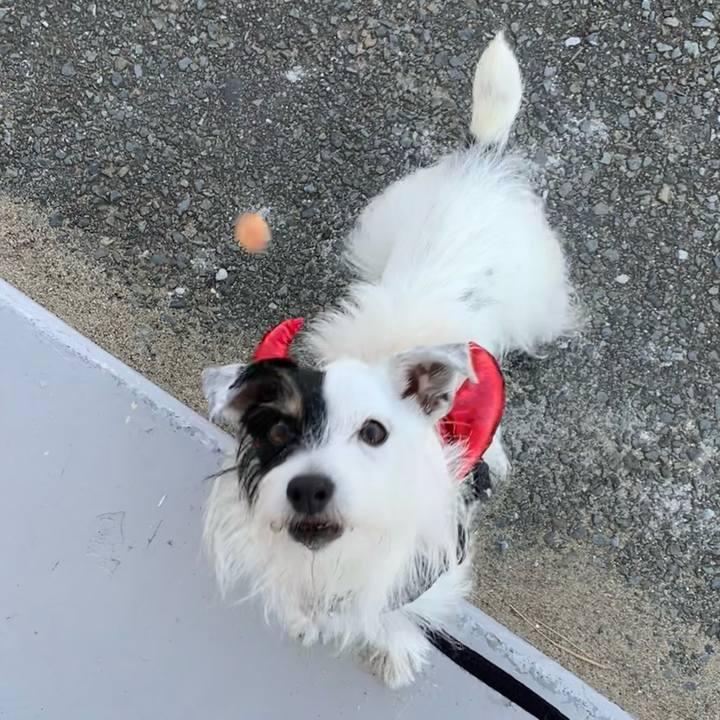 C86bde26 ff3f 4754 9c65 3dc4f2b400aa 1698458170557