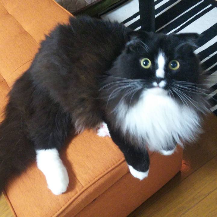 C86be6e9 4d62 4030 9363 99d926dcbd6f 1656809858091