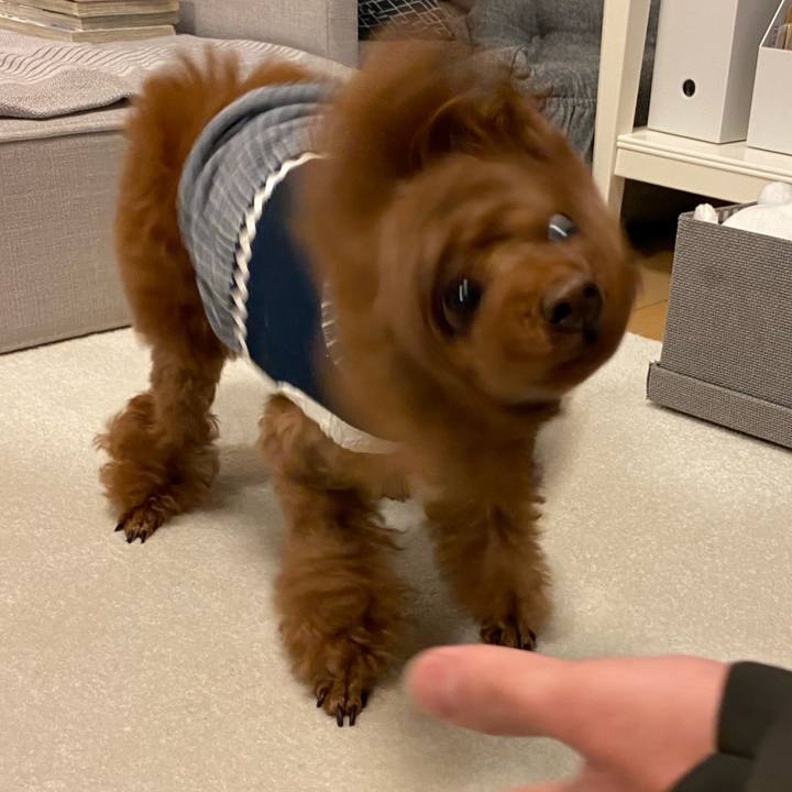 C86be874 6a15 45f4 946c a6249d3e508e 1613729838200