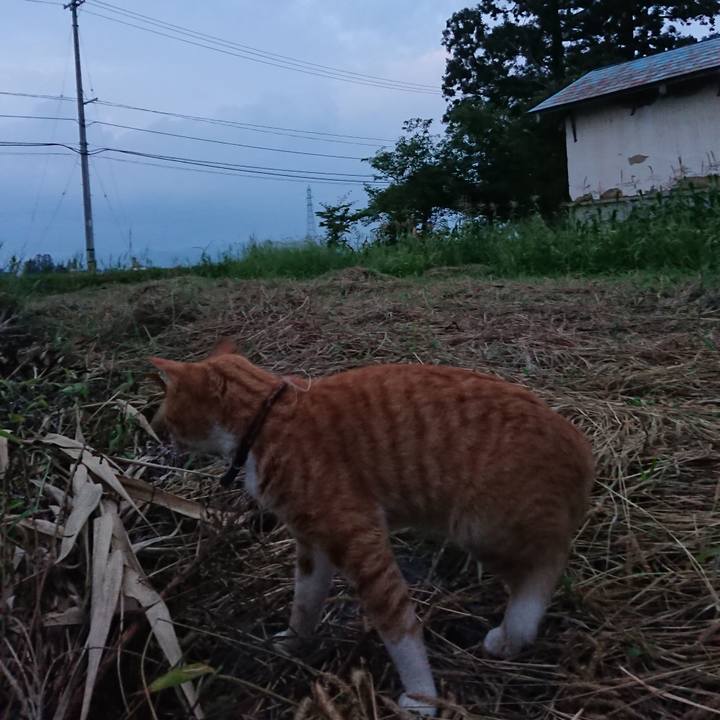 C86c0b7b fbed 4a14 ae69 f1d1ba79b554 1566380339340