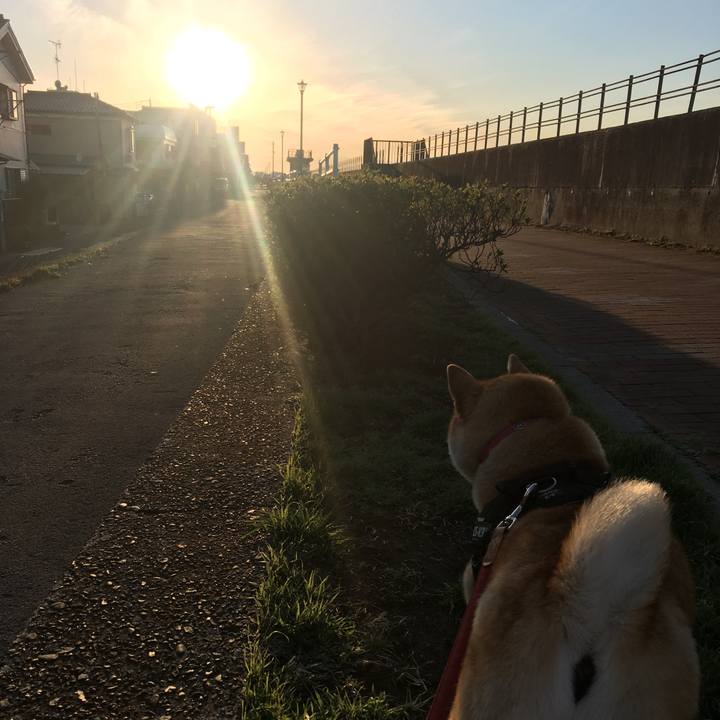 C86c3b5b 1507 4981 b3c3 d349718f4b08 1614154831381