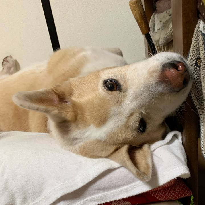 C86c5d98 a3be 4a24 97c9 b0866e689817 1604326675107