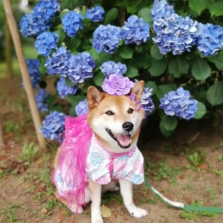 C86c9608 f5b4 49e5 a80b b4a427c46460 1656814622426