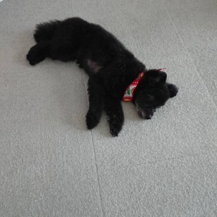 C86ca1d8 6812 481d b2c9 48d6a159c71d 1531870430548