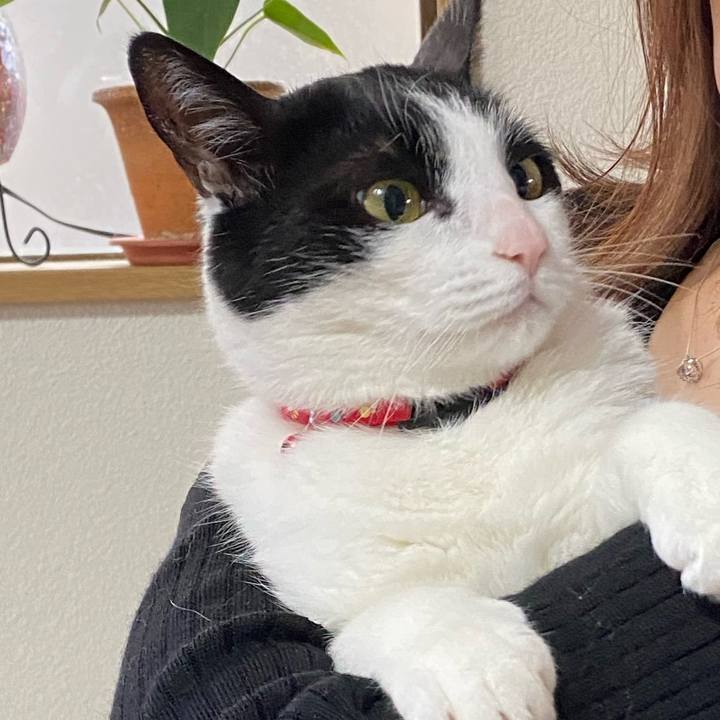 C86cb819 4b86 44b7 8aa7 d444cbffd5fd 1620560090248