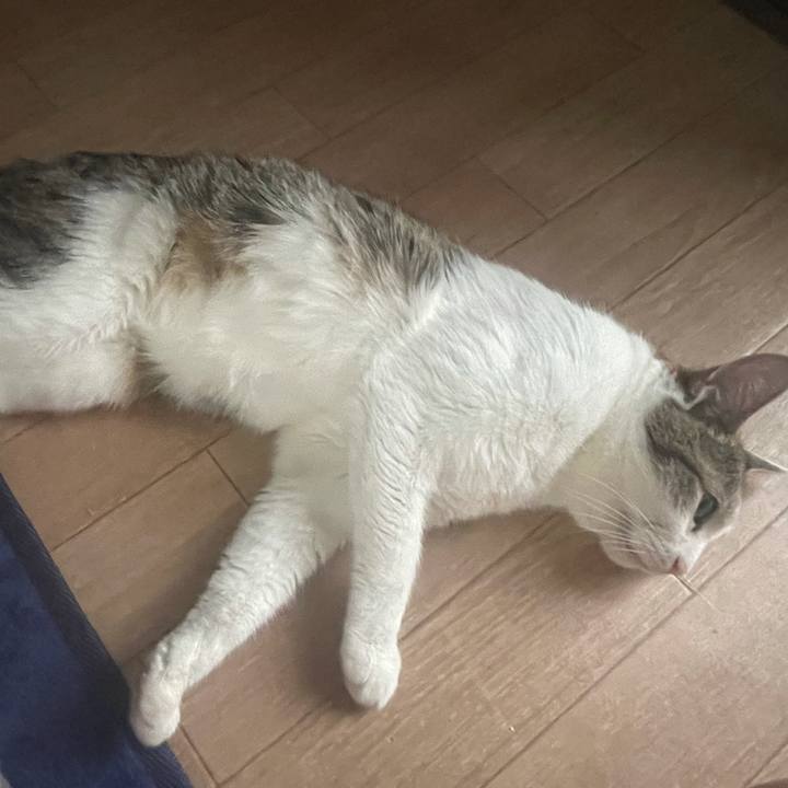 C86d0fa7 6bb5 4874 ae92 9450d8b95ea4 1624613334755