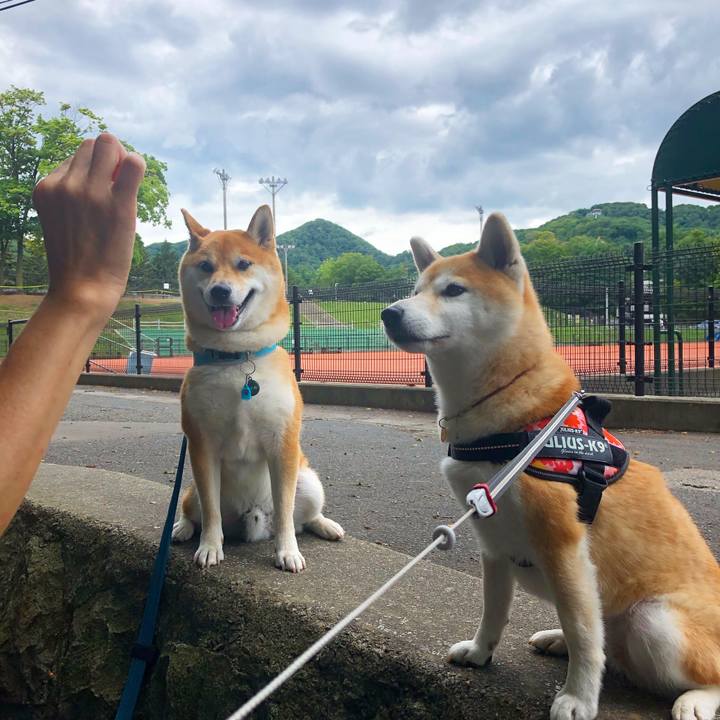 C86d1fac 4d68 4e8a b3b8 58a2449e169f 1599180443508