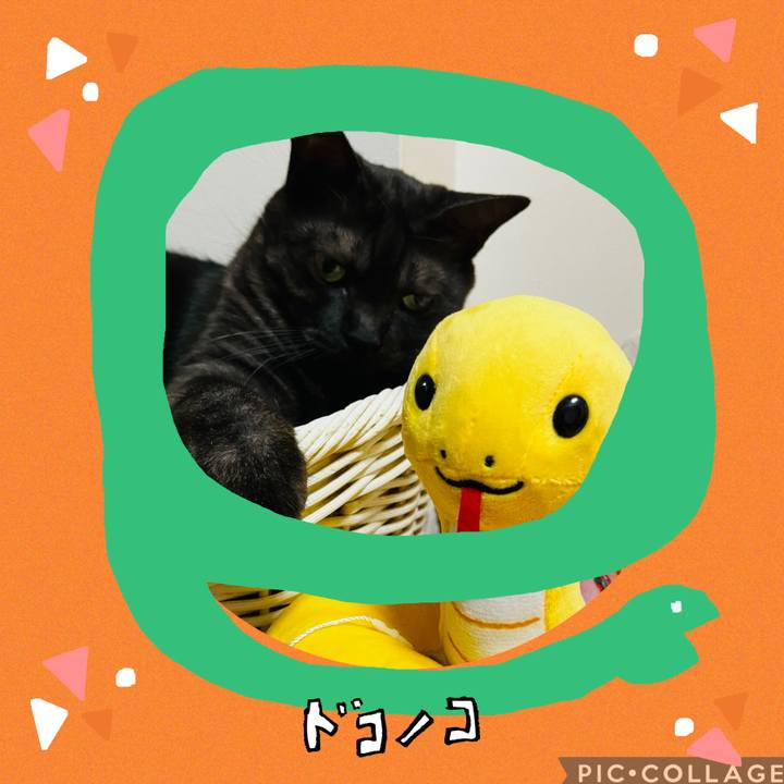 C86d4faf ba3a 40c3 9998 96db3d8a8cba 1741262503955