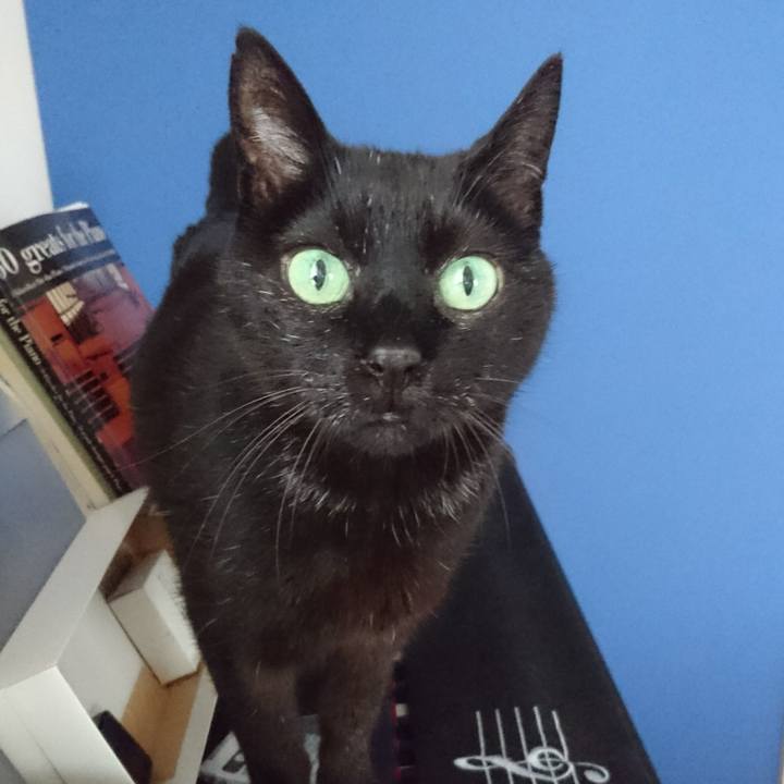 C86d5a76 ab20 4064 a0cf 5896730b56d9 1555570128426