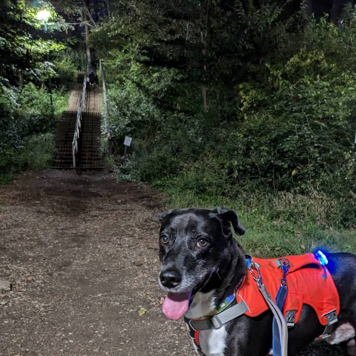 C86d7f7d 2804 419f a49b 04d848c9b758 1728556743408